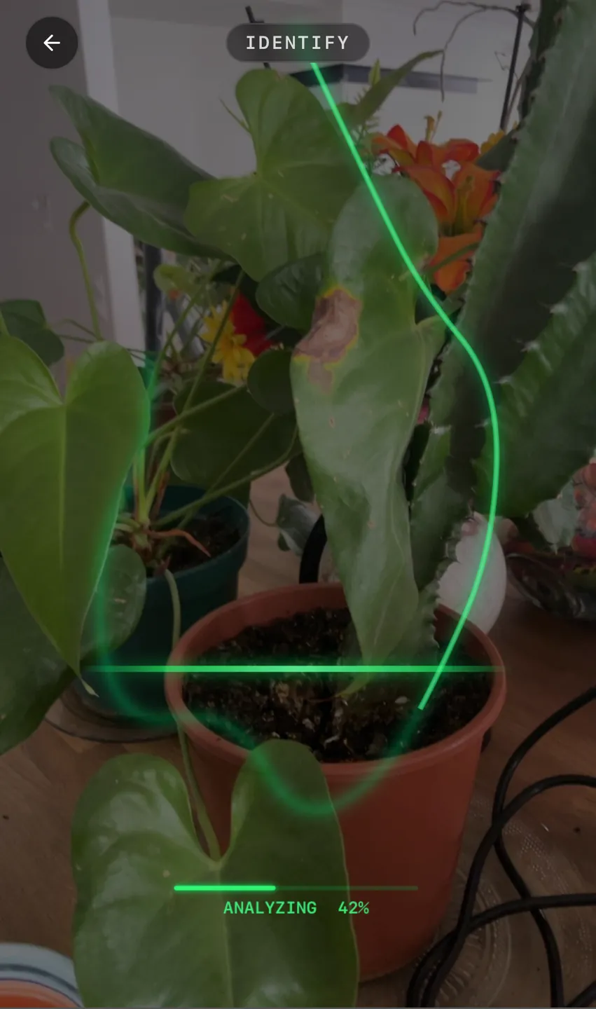 An AI vision app identifying a plant, built with OhMyUnicorn Forge